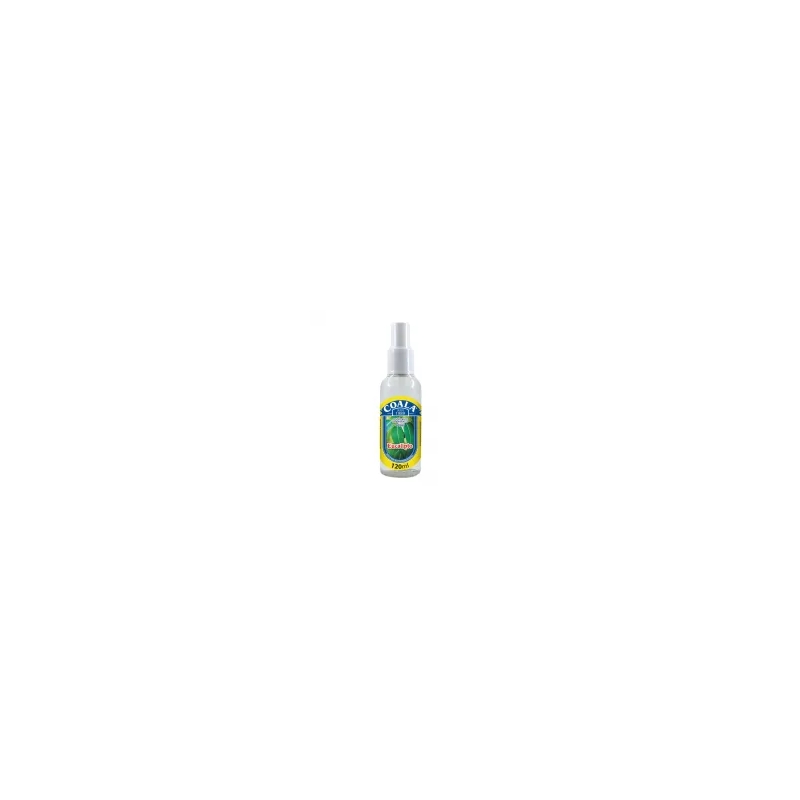 Foto ODORIZANTE SPRAY EUCALIPTO 120ML COALA