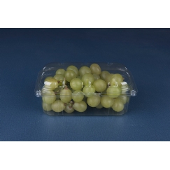 Foto CUMBUCA P/ FRUTAS 400GR GF 502 GALVANOTEK/564632