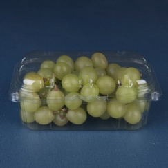 Foto CUMBUCA P/ FRUTAS 500GR GF 501 GALVANOTEK/560756