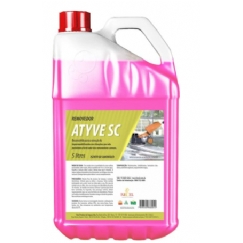 Foto ATYVE SC REMOVEDOR CONCENTRADO SEM CHEIRO 5LTS RICCEL